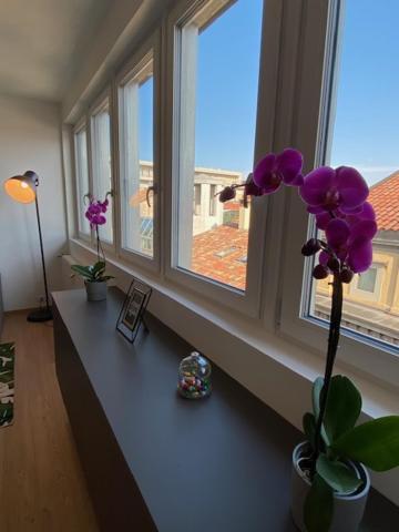 Mandi Mandi Cavour Apartment อูดิเน ภายนอก รูปภาพ
